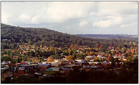 The view from Lisa's kitchen-to-be